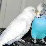 Fred und Stink