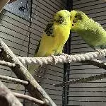 Beate und Hugo