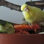Simone am Salatbuffet