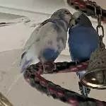 Bertie und Martina