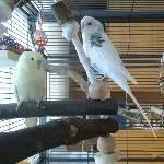 Schecki und Tobi