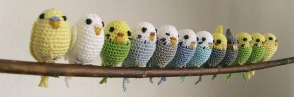 Wellensittich-Bild: 1-2-3-4-5-6-sieben... wo sind den die Zipfelchen alle geblieben?