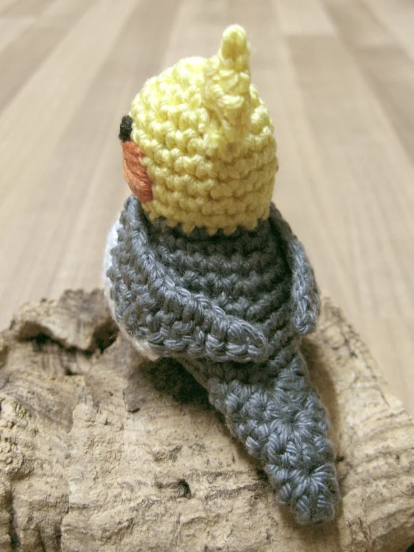 Wellensittich-Bild: der erste Versuch