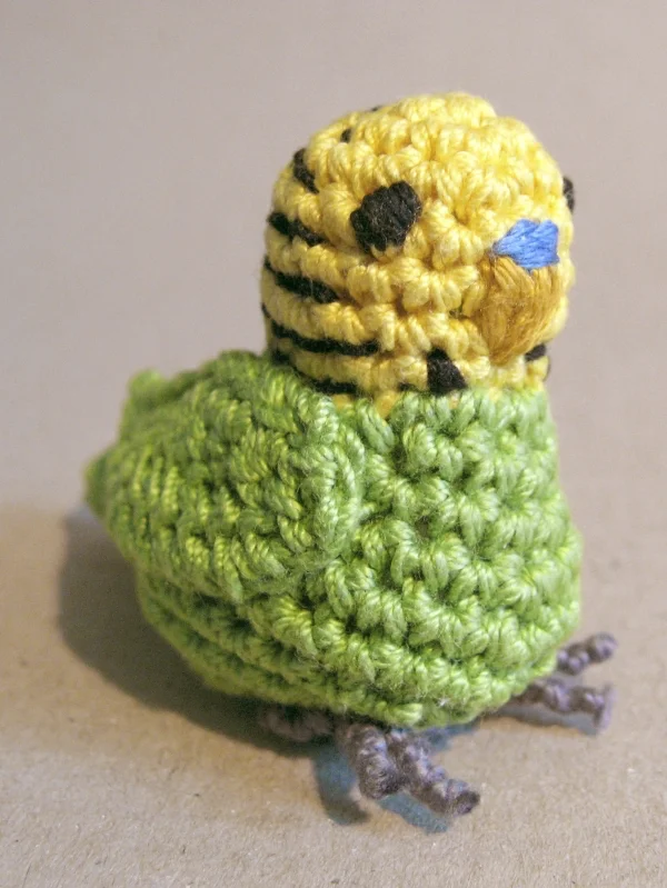 Wellensittich-Bild: der erste Versuch