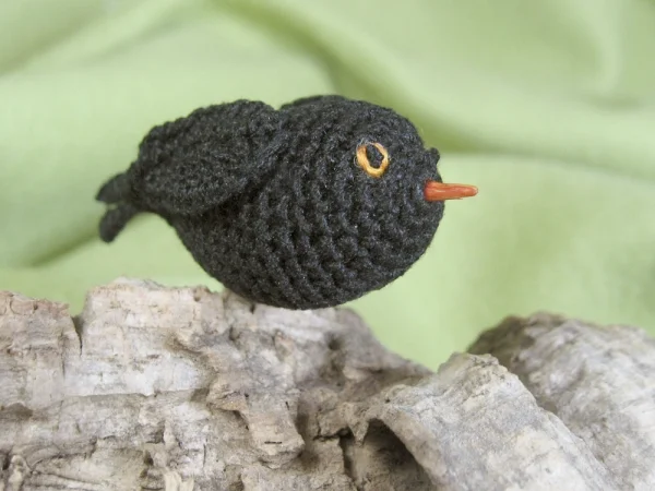 Wellensittich-Bild: Männliche Woll-Amsel