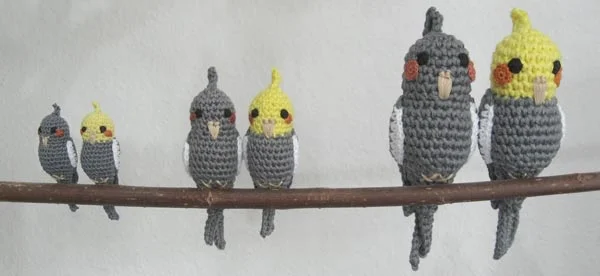 Wellensittich-Bild: Nymphis mit Hals