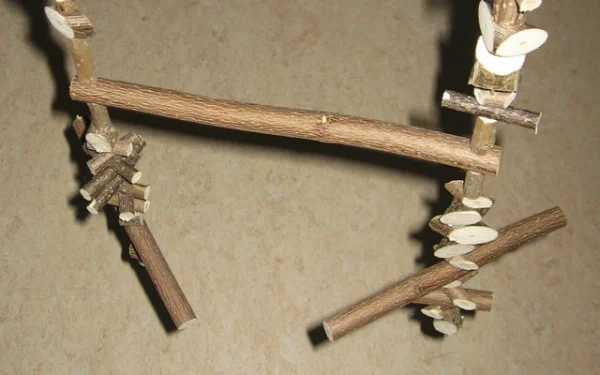 Wellensittich-Bild: Die Besonderheit an dieser Schaukel sind die beiden Karussell-Äste unten.