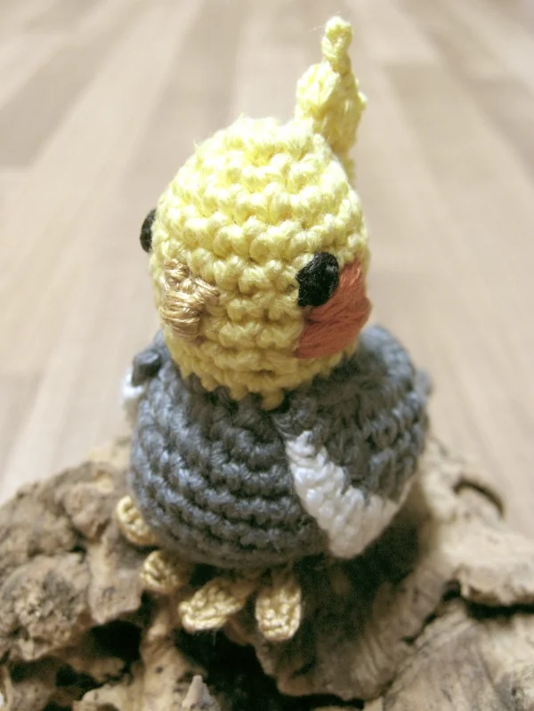 Wellensittich-Bild: der erste Versuch
