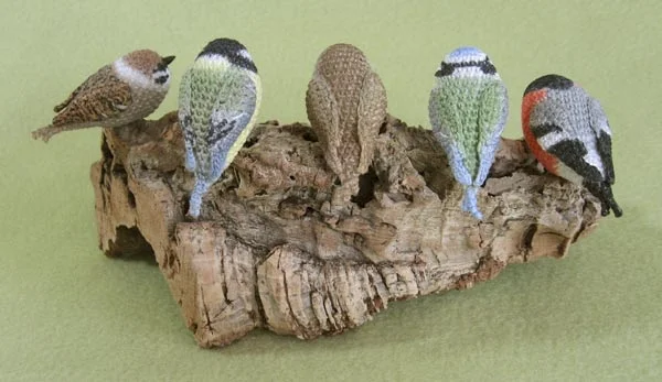 Wellensittich-Bild: Sperling, Kohlmeise, Rotkehlchen, Blaumeise, Gimpel