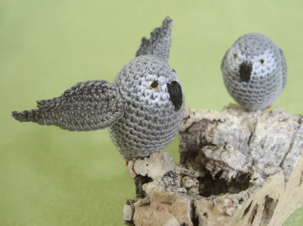Wellensittich-Bild: Graupi-Pärchen
