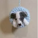 Jack Russel Terrier 1
