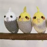 6 Wollies von vorne
