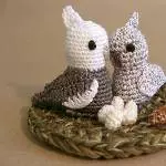 Nest mit Weissköpfchen