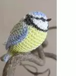 Blaumeise 1
