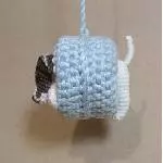 Jack Russel Terrier 3