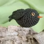 Amsel-ER 2