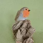 Rotkehlchen (Erithacus rubecula)