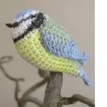 Blaumeise 3
