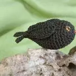 Amsel-ER 1
