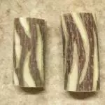 Holzwurmimitate 4
