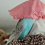 Berta ist sehr schüchtern