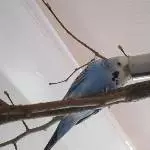 Ist da wer?