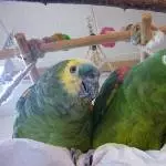 Jacki und Jacko Bild 7