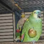 Jacki und Jacko Bild 8
