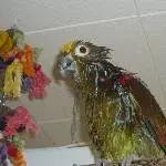 Jacki und Jacko Bild 6