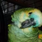 Jacki und Jacko Bild 3