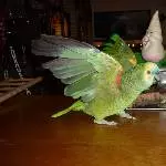 Jacki und Jacko Bild 2