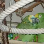 Jacki und Jacko Bild 9