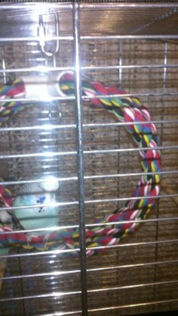 Benni