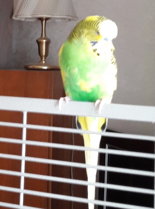 Danny