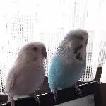 Nicky und Felix
