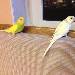 Lucy und Fiene