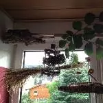 Mein Wellispielplatz