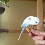 Trixie mit Leckerbissen