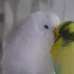 meine beiden