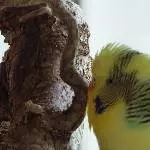 Liebe muss schön sein ...