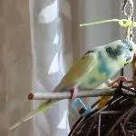 einfach lecker ...