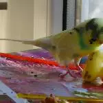 Sunny un die Quitscheente 2