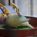 Baden, aber wie?
