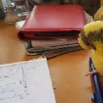 nana, der Kuli .....