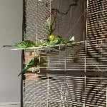 Salatbar