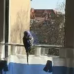 Sehnsucht