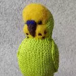 Natur pur (hihi)
