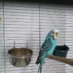 Elly meine hübsche 