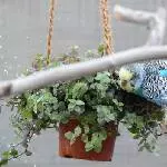 Miro beim BAden