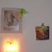 Die Bilder